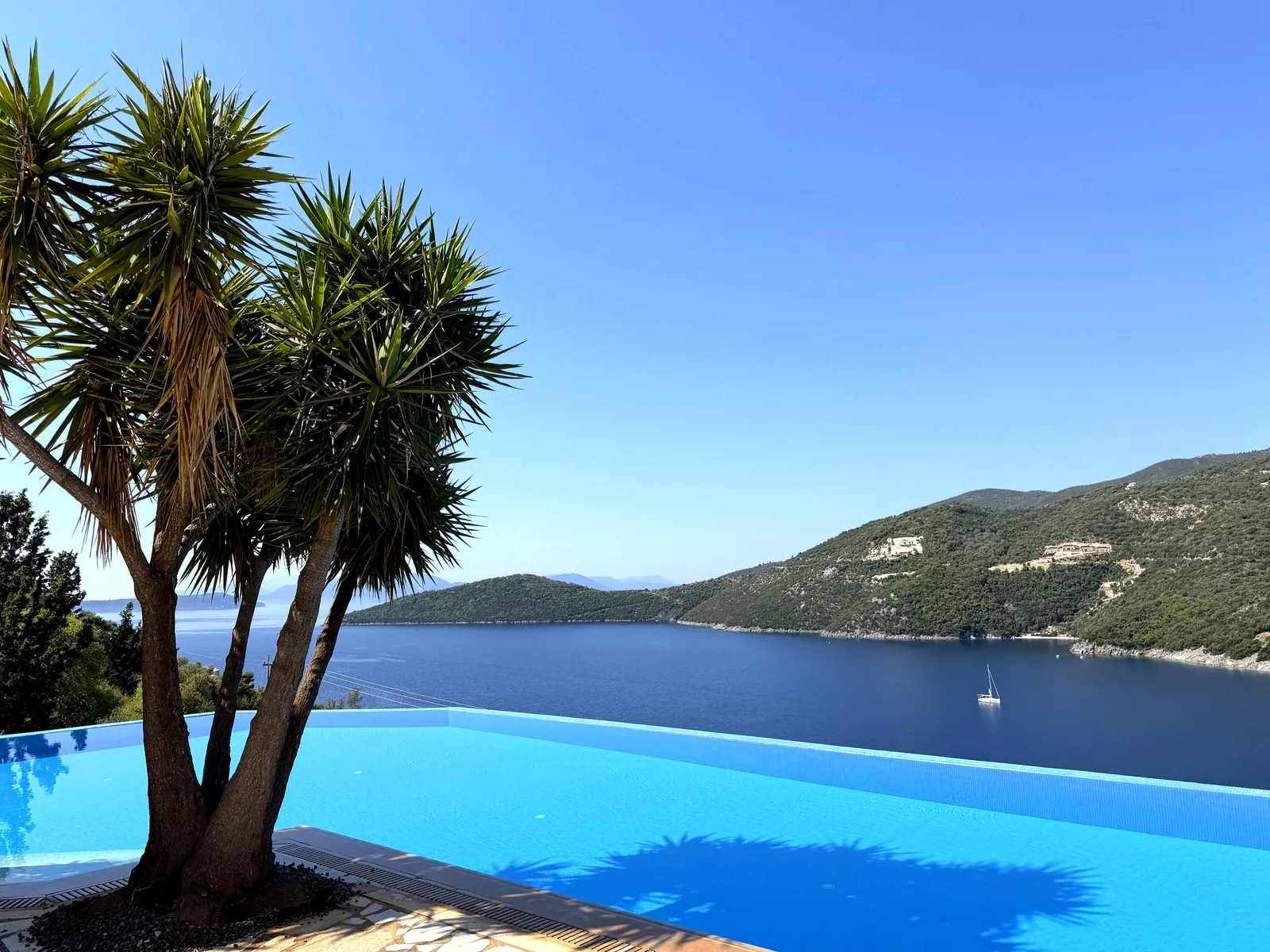 Palms at the pool edge, looking out to sea